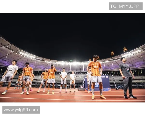 深圳排球队进攻战术解析与球员表现全面剖析